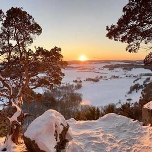 Meet your Posher, Teresa